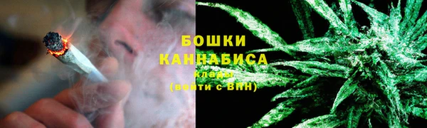 стафф Покачи