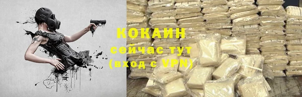 стафф Покачи