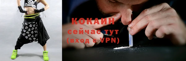 бошки Пересвет