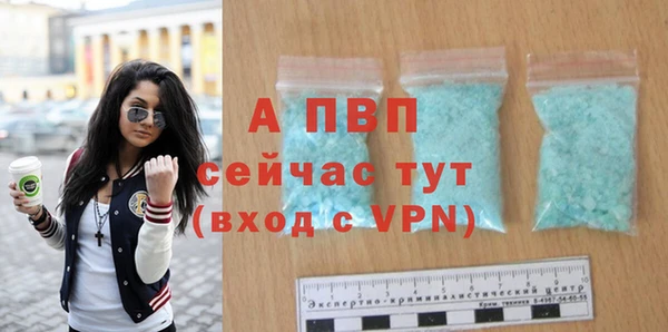 стафф Покачи