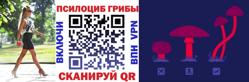 Галлюциногенные грибы прущие грибы  купить наркотики цена  Семилуки 